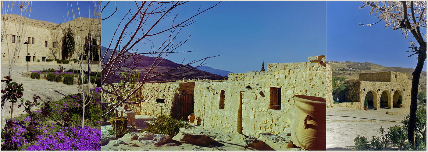 Le printemps au Sofitel Petra Taybet Zaman