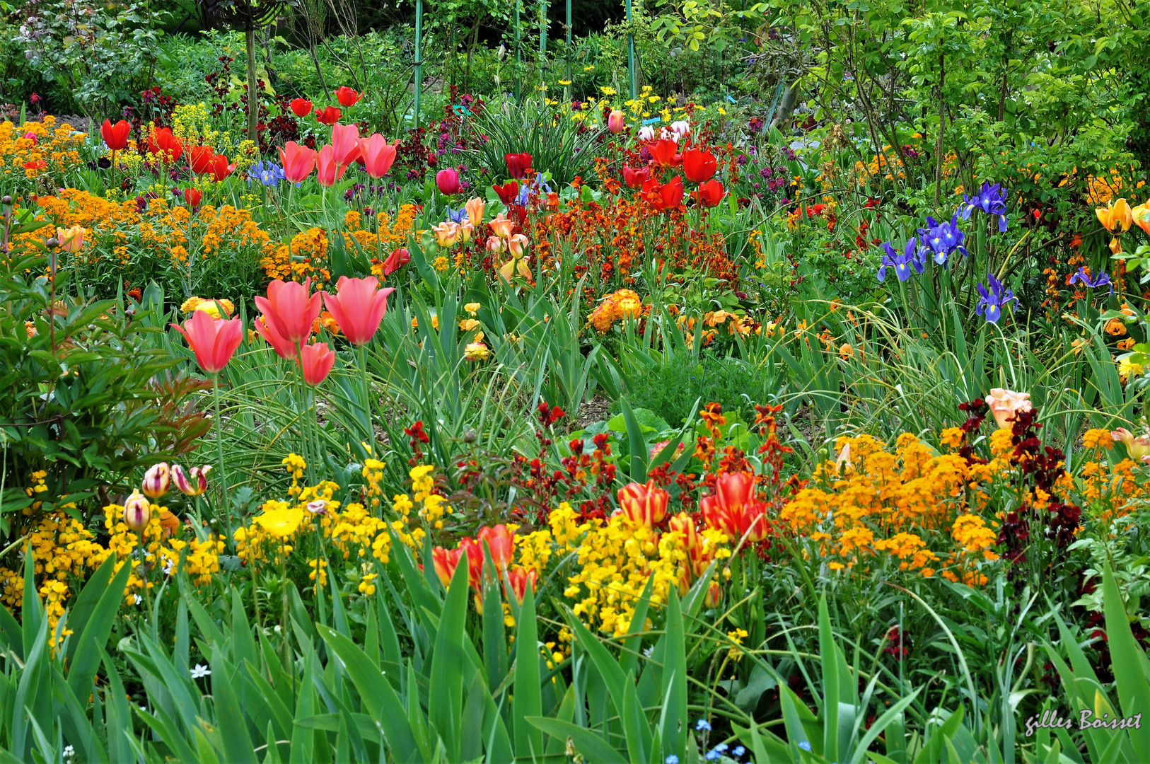 Le printemps chez Monet