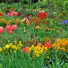 Le printemps chez Monet