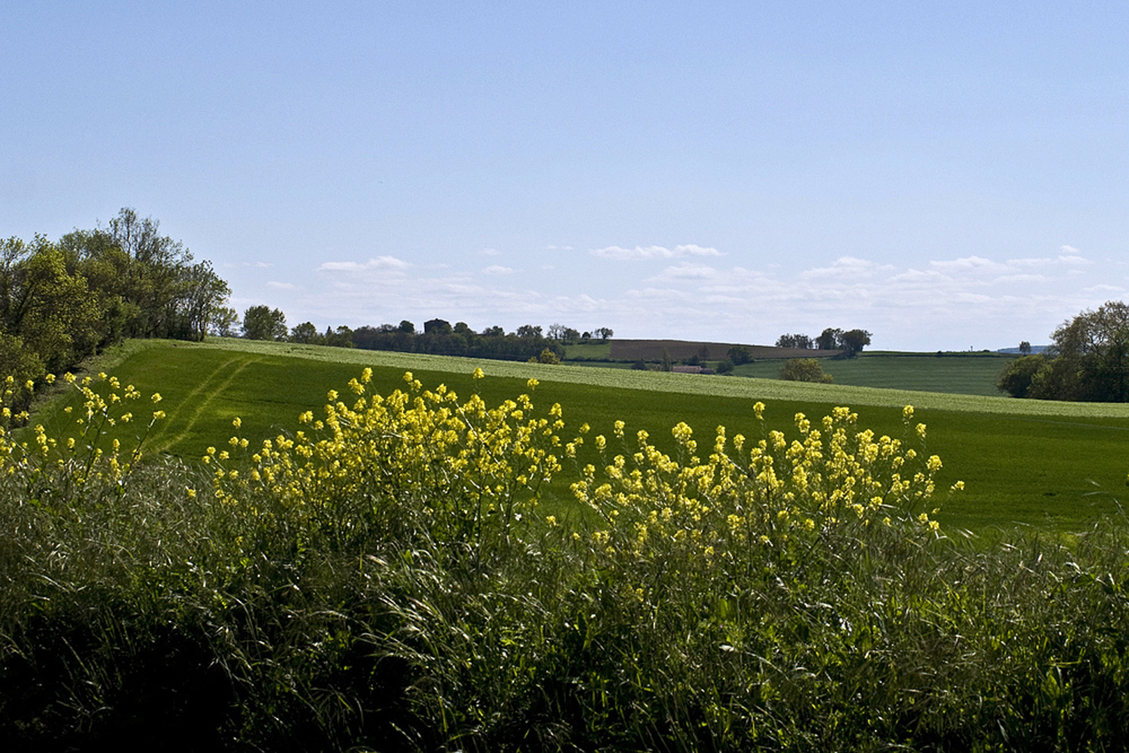  Le printemps comme je l’aime  --  Der Frühling, wie ich ihn gern habe.