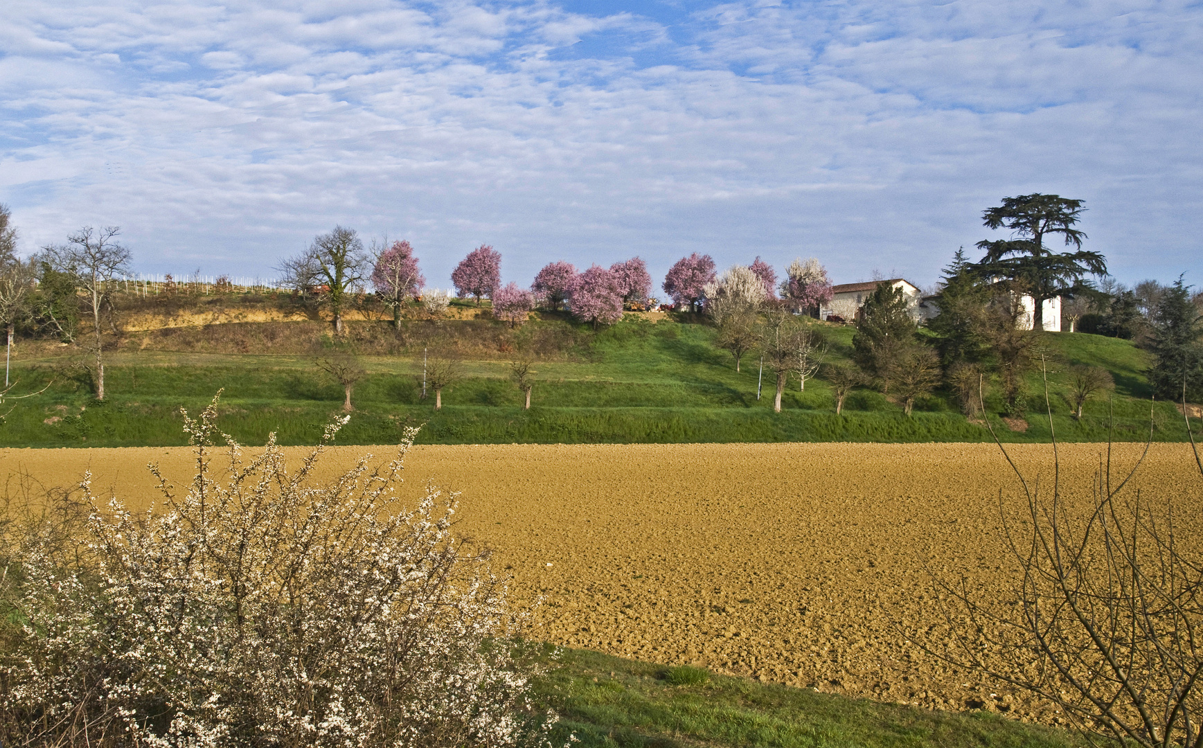 Le printemps dans le Gers