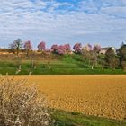 Le printemps dans le Gers