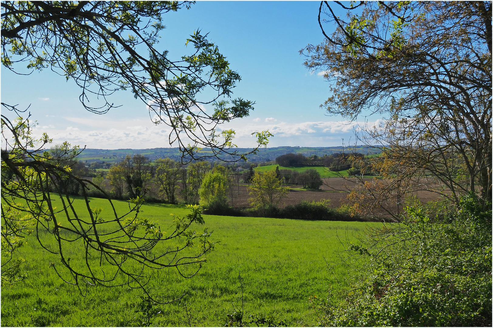 Le printemps dans le Gers