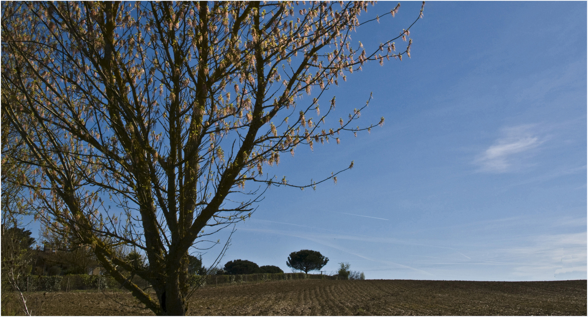 Le printemps dans le Gers