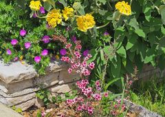 Le printemps dans le jardin