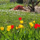 Le printemps dans le jardin