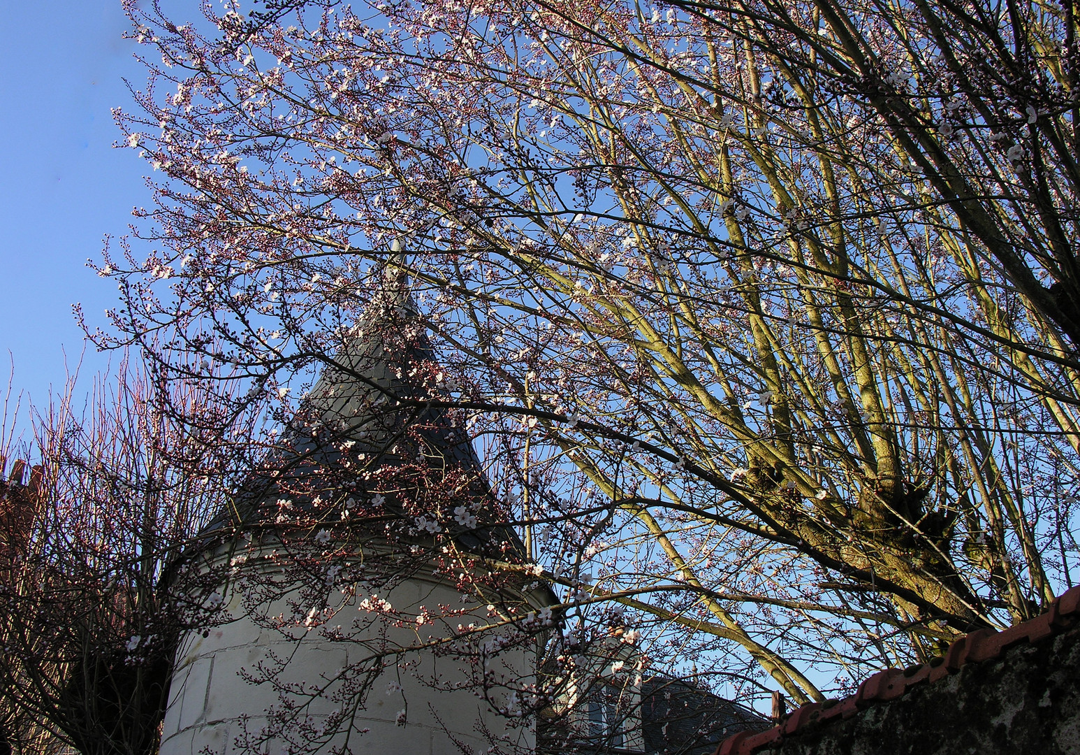 Le Printemps dans le Loir et Cher!