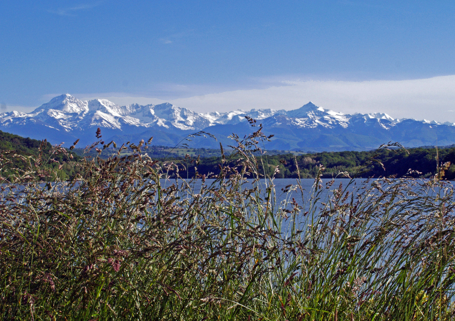 Le printemps dans le Piémont Pyrénéen