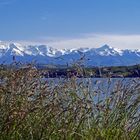 Le printemps dans le Piémont Pyrénéen