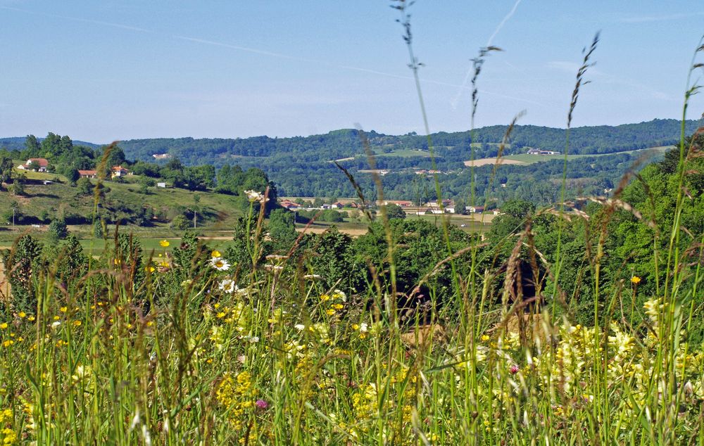 Le printemps dans le Piémont pyrénéen