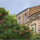 Le printemps dans une rue d‘Agen