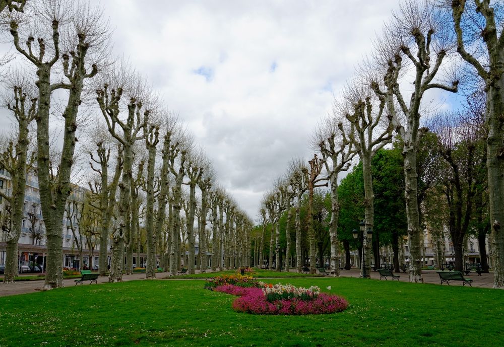 Le printemps de Vichy