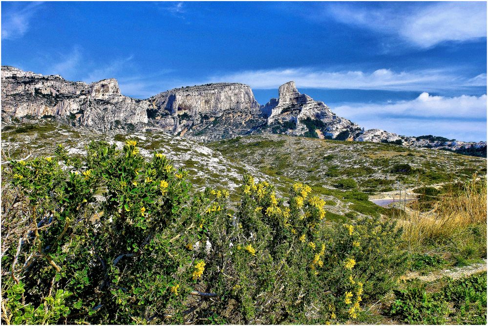 Le printemps dec calanques