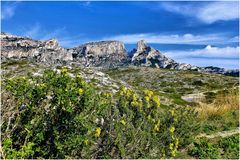 Le printemps dec calanques