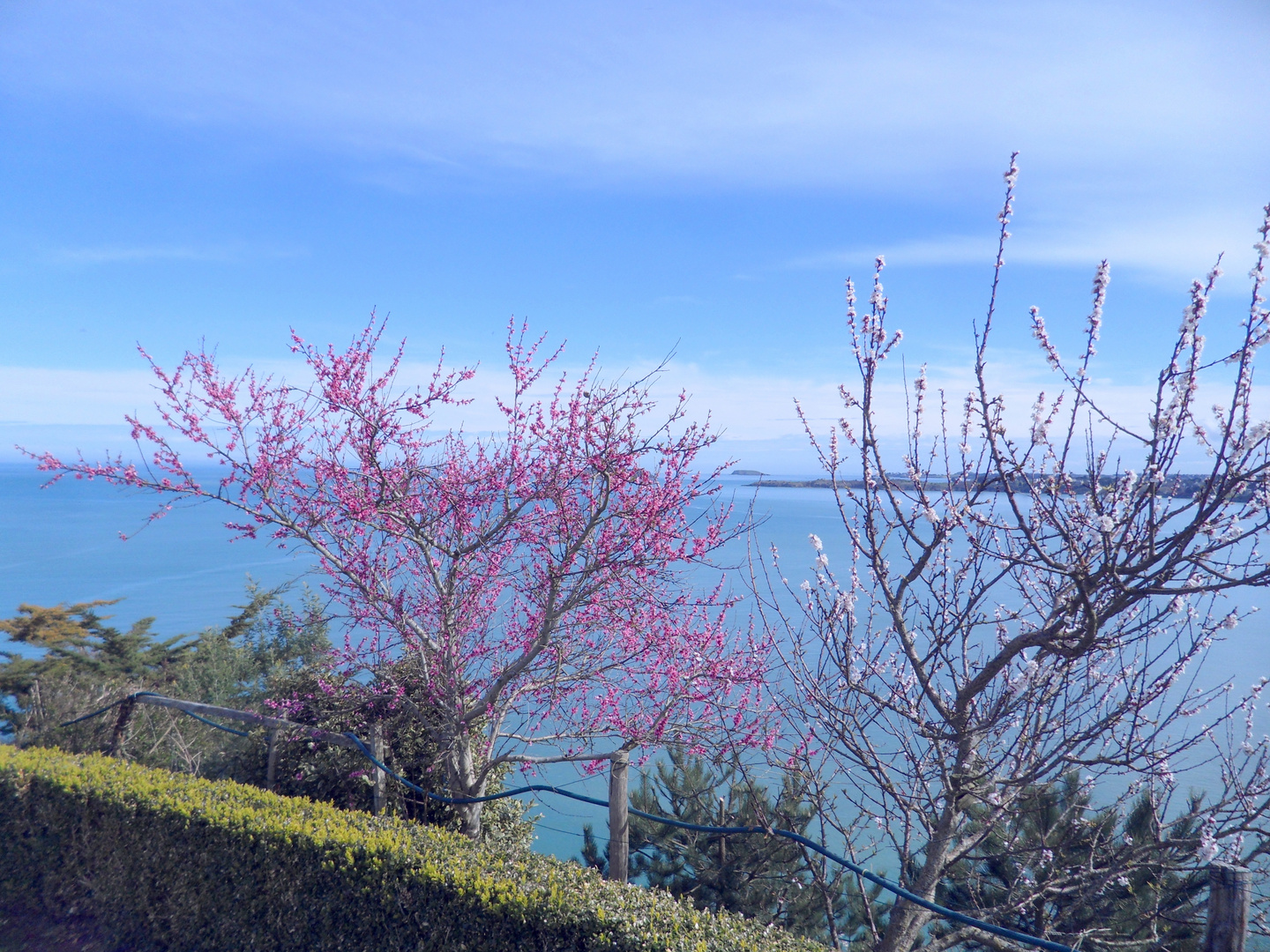 Le printemps en Bretagne !