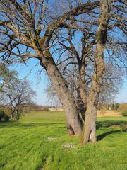 Le printemps en campagne gersoise