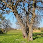 Le printemps en campagne gersoise