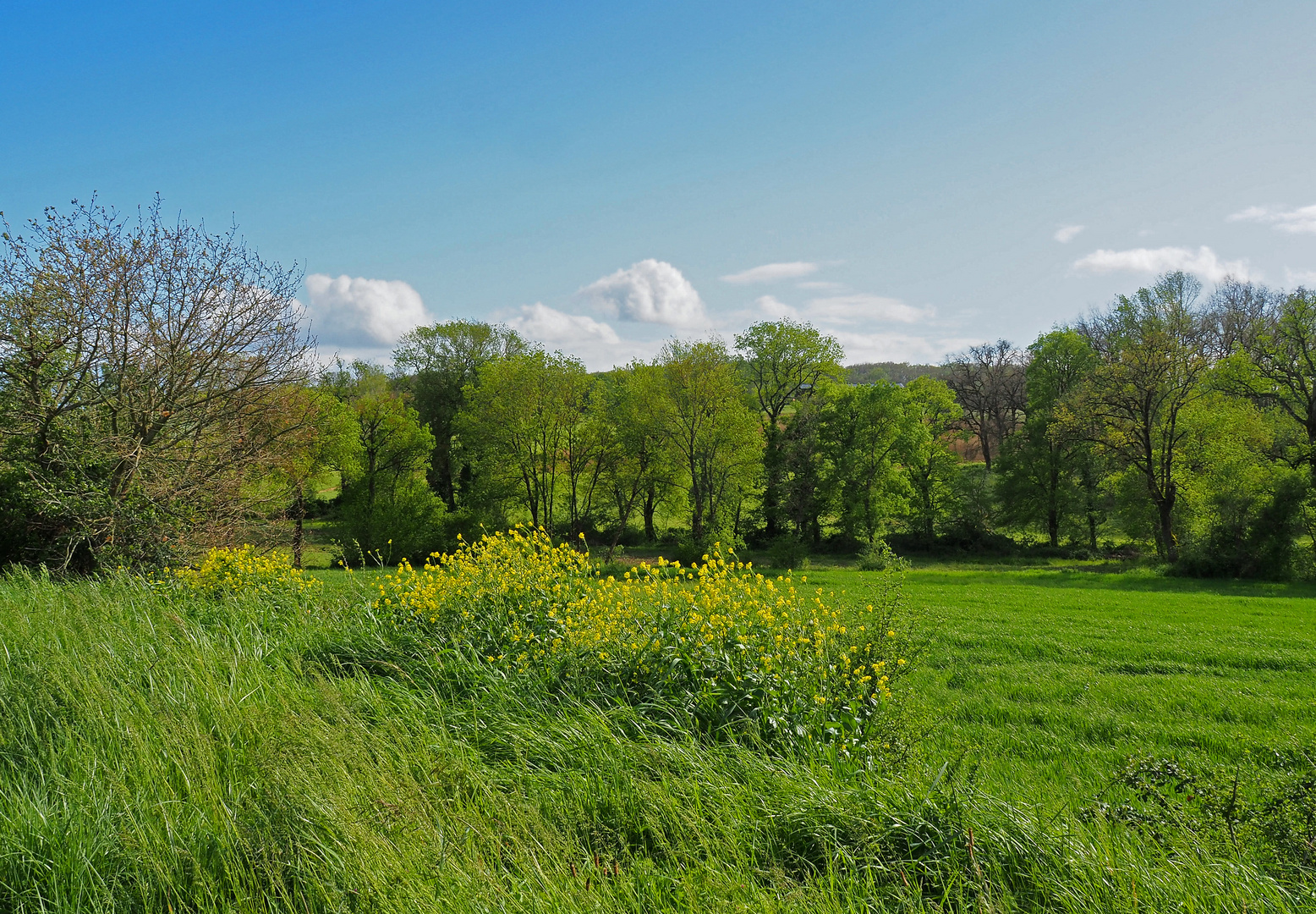 Le printemps en Lomagne