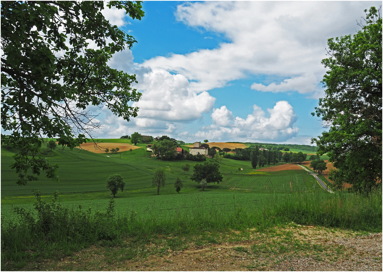 Le printemps en Lomagne