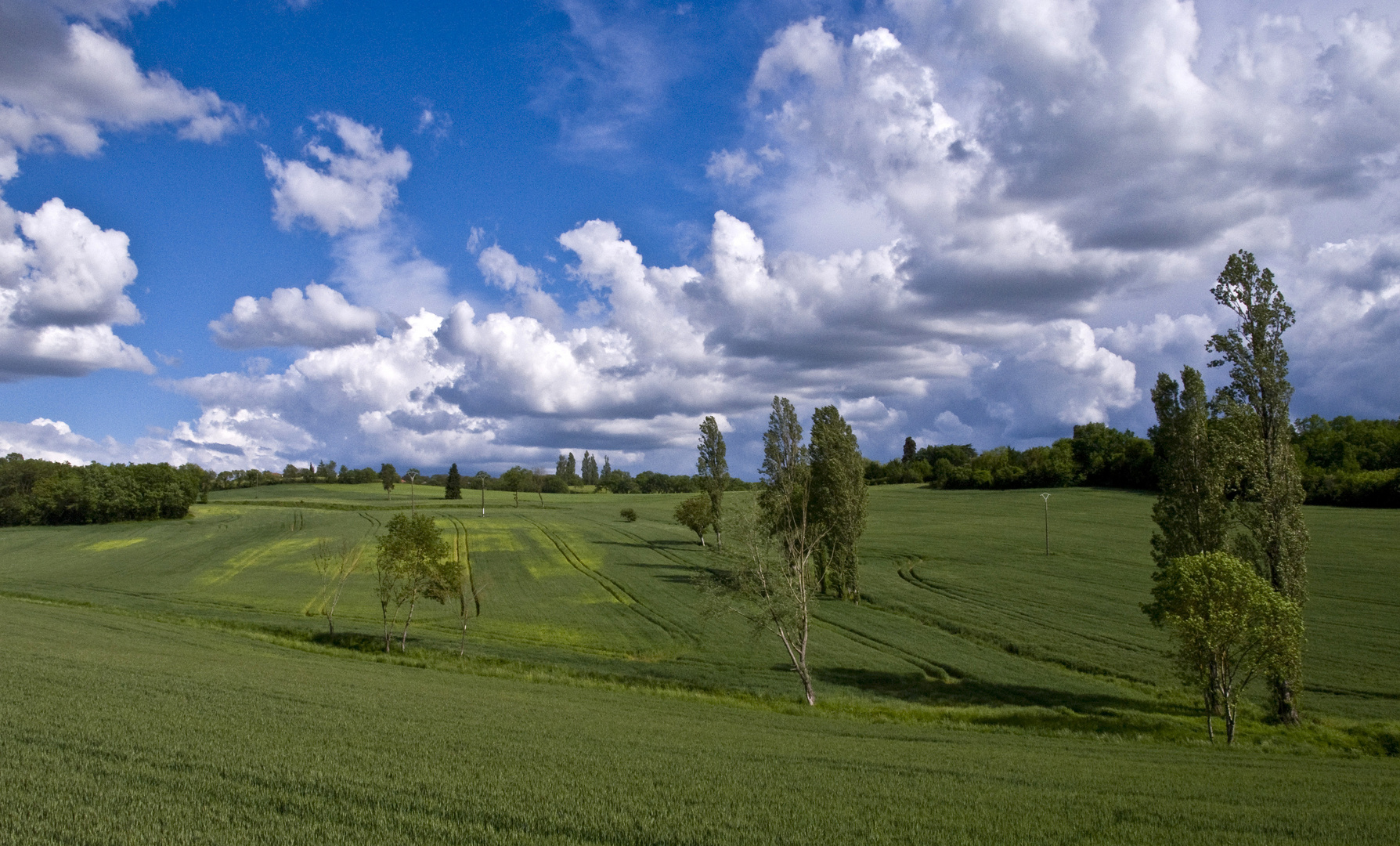 Le printemps en mai près de chez moi