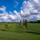 Le printemps en mai près de chez moi