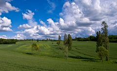 Le printemps en mai près de chez moi