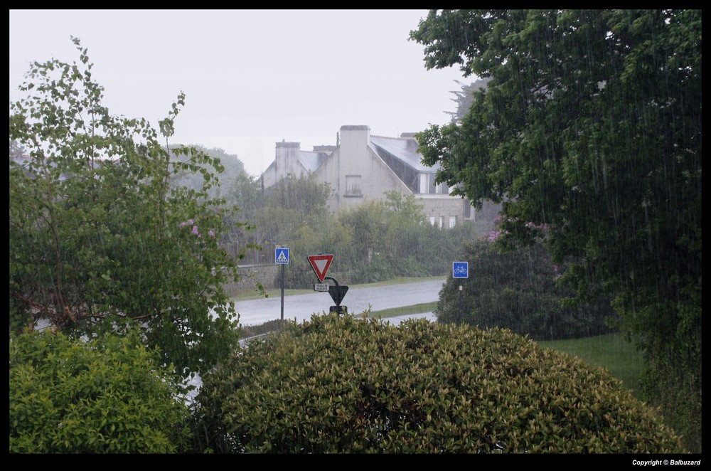 " Le printemps en morceaux, hier en fin de journée "