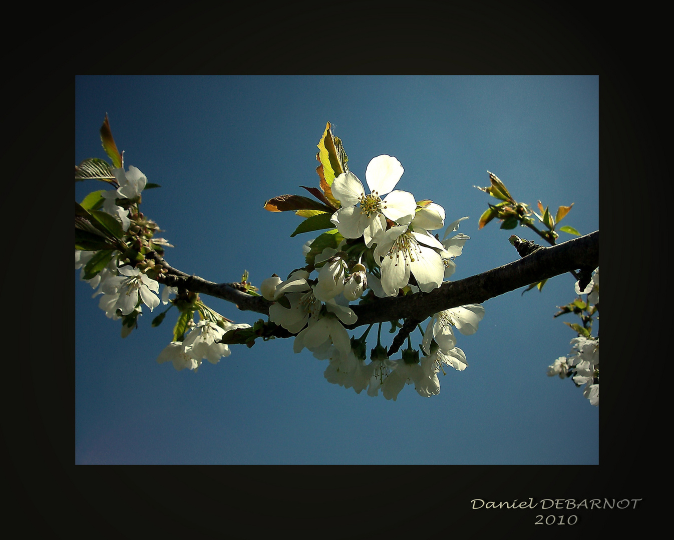 Le printemps enfin