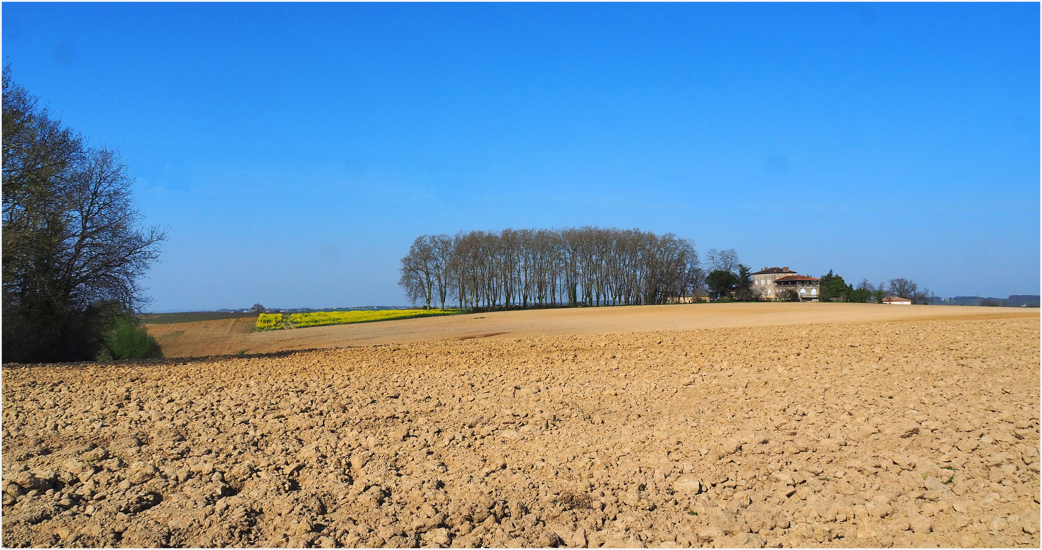 Le printemps est bien là…