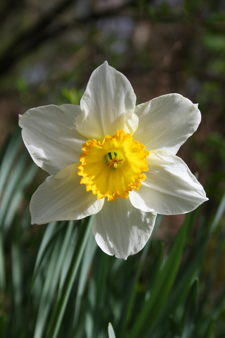 Le printemps est de retour