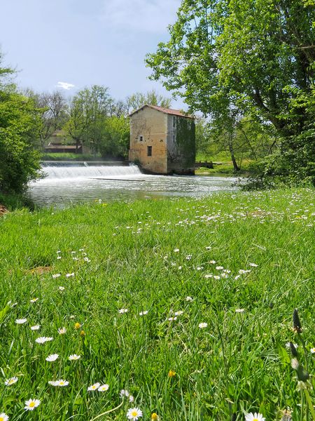 Le printemps explose au moulin de Gauge