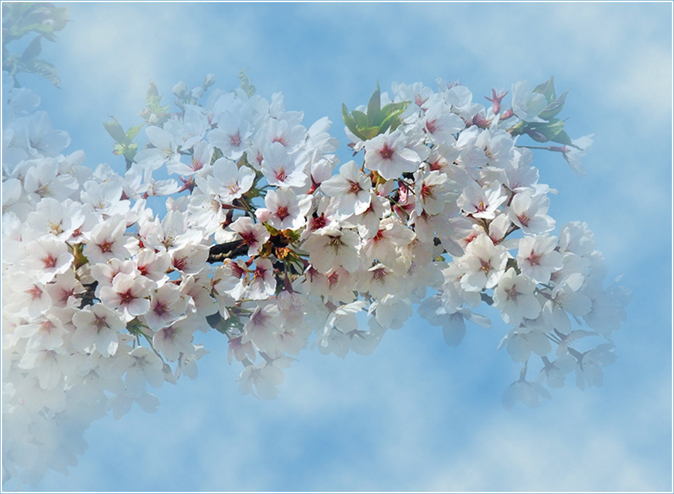 Le Printemps - Frühling