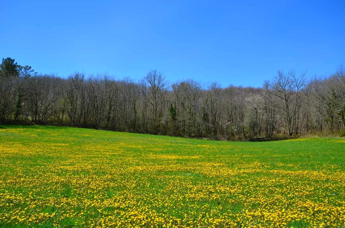 LE PRINTEMPS - Les couleurs de la nature