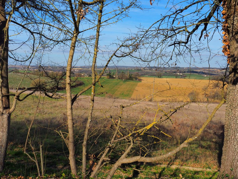 Le printemps revient timidement 