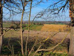 Le printemps revient timidement 