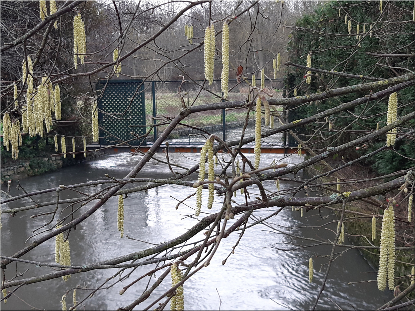 ..Le printemps s'annonce, au moulin de la Groue (45)