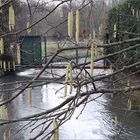 ..Le printemps s'annonce, au moulin de la Groue (45)