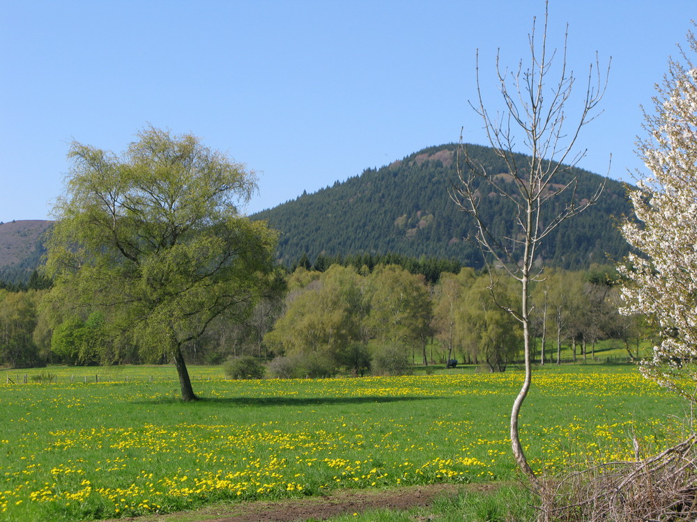 LE PRINTEMPS SEMBLE ARRIVER EN AUVERGNE ...