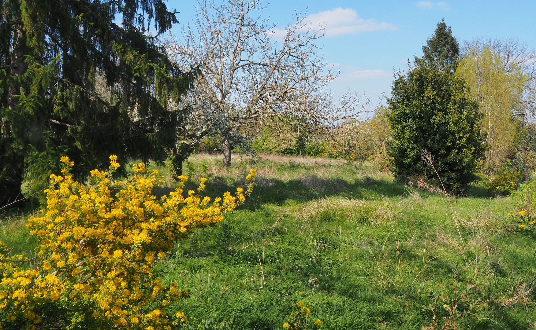 Le printemps simplement