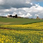 Le printemps s'installe dans le Vexin normand