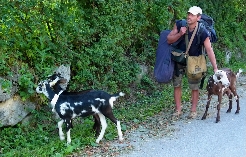 *le promeneur insolite*