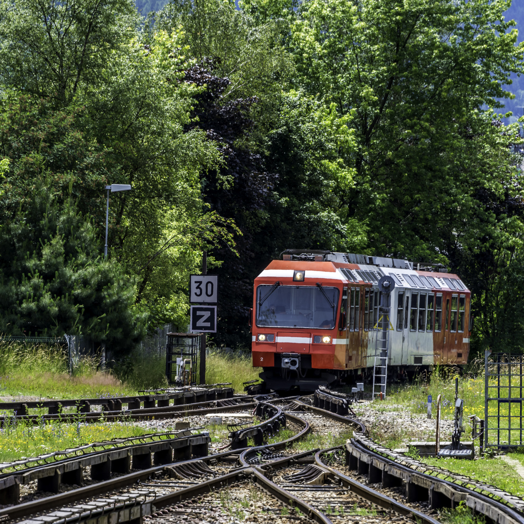 Le ptit train s'en va dans la montagne