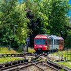 Le ptit train s'en va dans la montagne