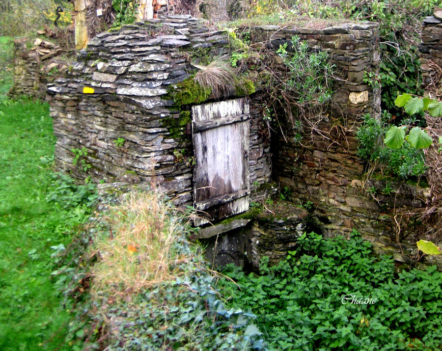 le puits abandonné