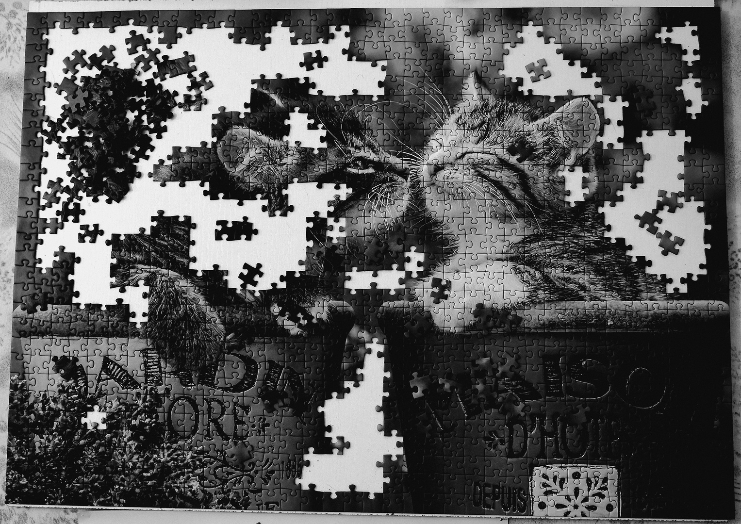 le Puzzle  