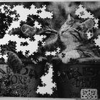 le Puzzle  