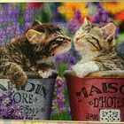 le Puzzle " le Bisou de Chats "