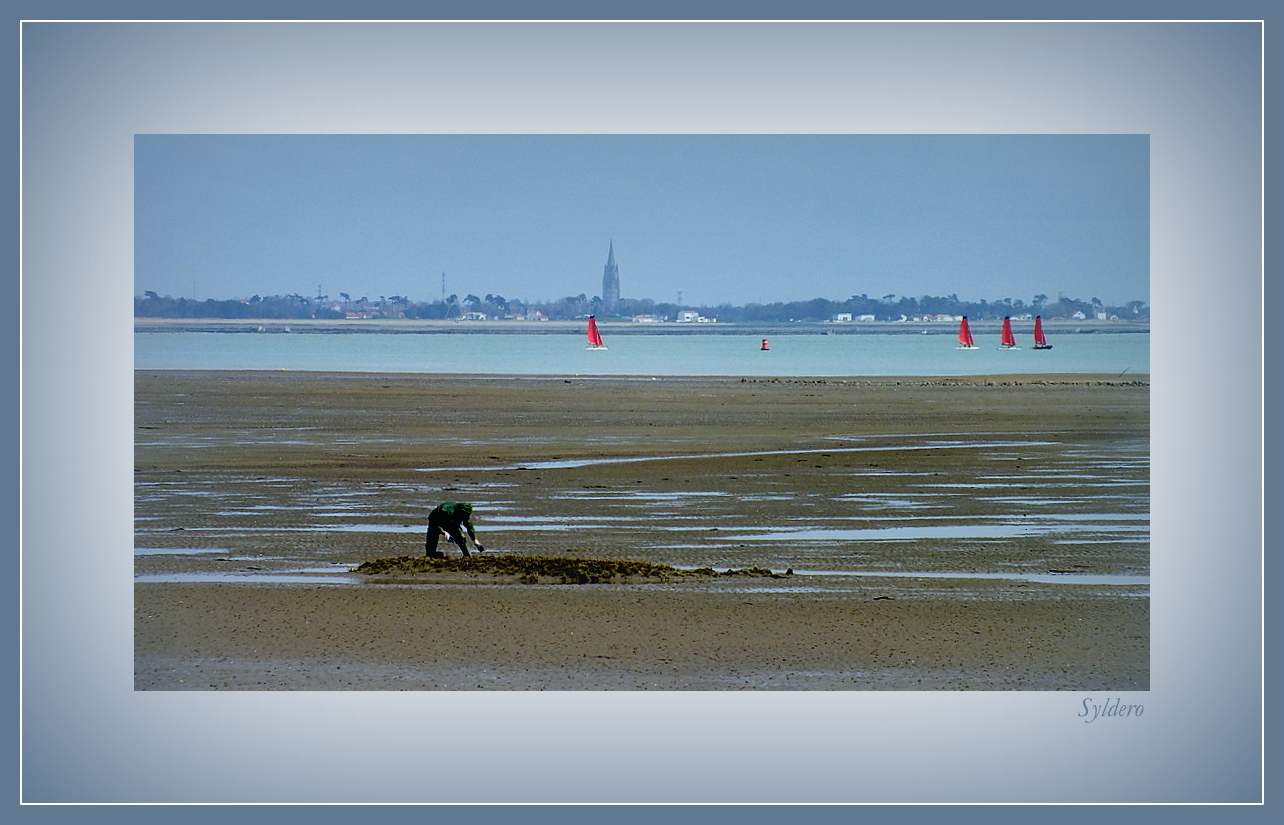 Le ramasseur de coquillages