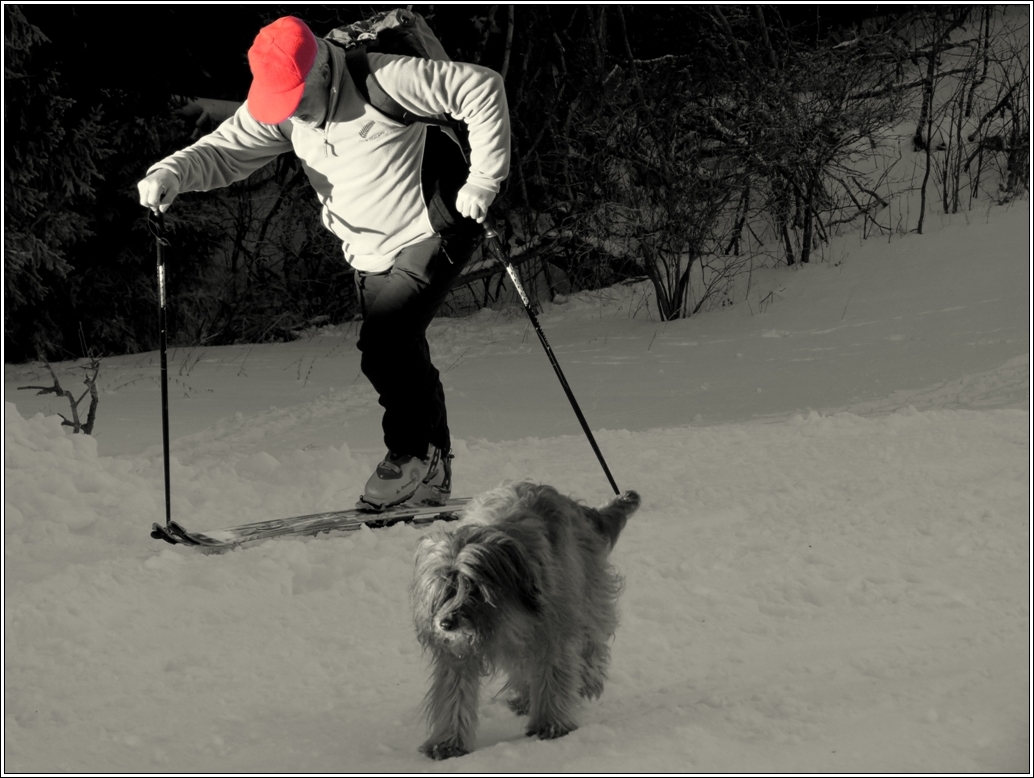 Le randonneur et son chien