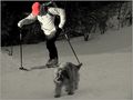 Le randonneur et son chien de duthovex 